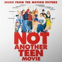 Not Another Teen Movie