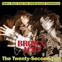 Brown Acid  The Twenty-second Trip