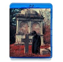 Requiem For A Village