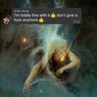 I'm Totally Fine With It  Dont Give