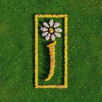 Nothing But Love - The Definitive B