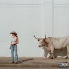 KACEY MUSGRAVES middle of nowhere