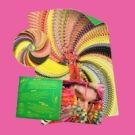 DAVID BYRNE who is the sky