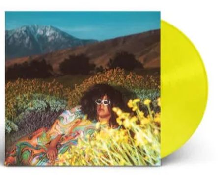 brittany-howard-waht-now-limited