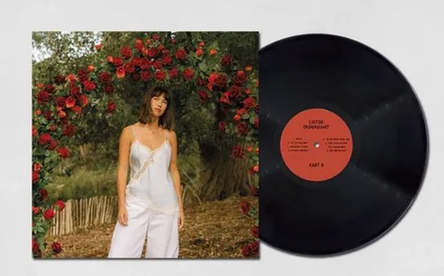 meau-liefde-onderschat-lp--kopen